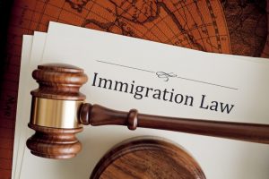 Immigration Law